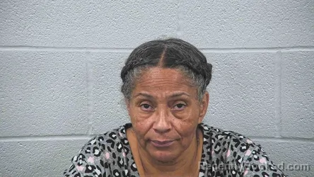 Mugshot of Mona Barrino booked in Wayne County, Ohio on August 28, 2026