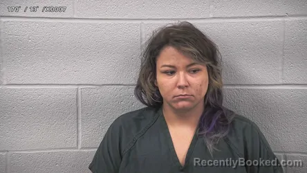 Mugshot of MEGHAN WATKINS booked in Wayne County, Ohio on June 8, 2026