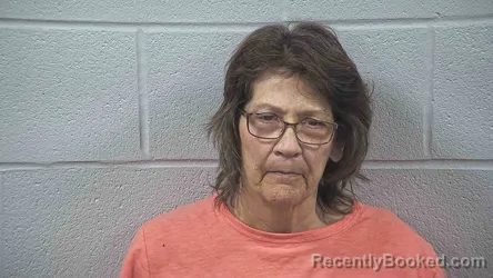 Mugshot of DIANA KNOTT booked in Wayne County, Ohio on June 27, 2026