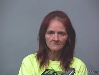 Mugshot of KELLY BOWMAN
