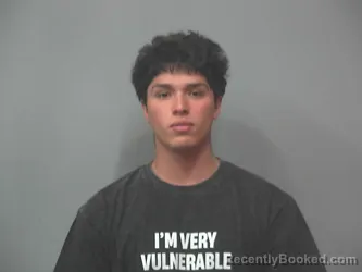 Mugshot of ANDRES BOURGEA