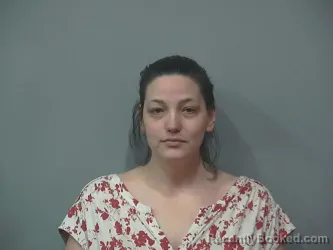 Mugshot of MELISSA BURKHOLDER