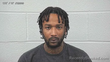 Mugshot of ASHTON TOLES booked in Wayne County, Ohio on June 20, 2026