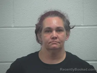 Mugshot of LISA BURCHETT