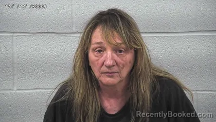 Mugshot of LINDA DALESSANDRO booked in Wayne County, Ohio on May 12, 2026