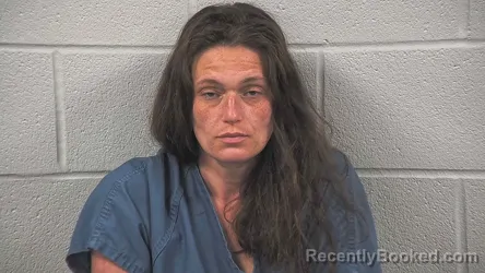 Mugshot of BRITTANIE COPLEY booked in Wayne County, Ohio on July 4, 2026