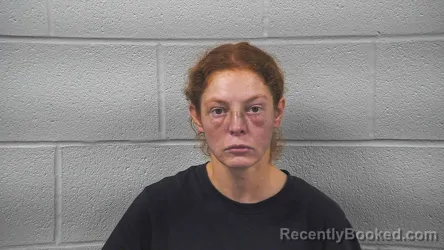 Mugshot of BRANDY SIWIK booked in Wayne County, Ohio on July 11, 2026