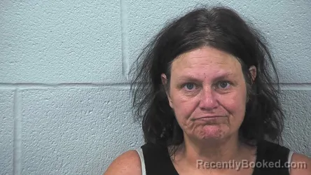 Mugshot of ELISA STOKER booked in Wayne County, Ohio on July 31, 2026