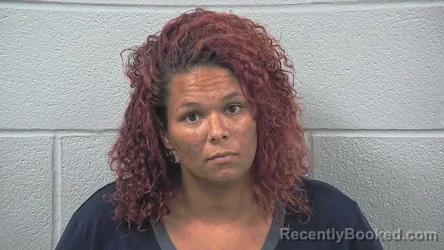 Mugshot of Nichole Digiacomo booked in Wayne County, Ohio on September 4, 2026