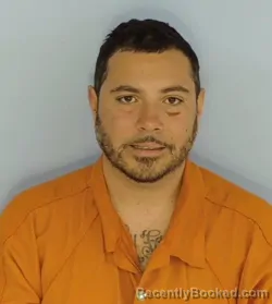 Mugshot of ARIEL ORLANDO BERRIOS