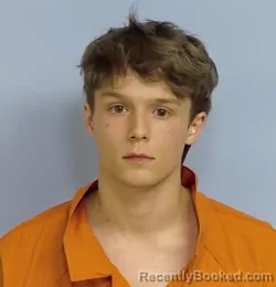 Mugshot of WALTER CLARK BRISTOL