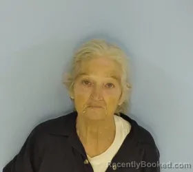 Mugshot of LINDA ANN CASE booked in Walton County, Florida on April 30, 2026