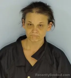 Mugshot of MELISSA MARIE COOK