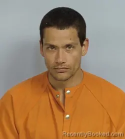 Mugshot of BRANDON LEE DAVIS