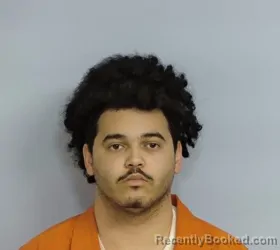 Mugshot of TREVONE JAMES ANTHONY FITZGERALD