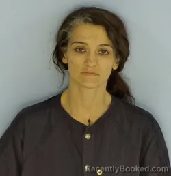 Mugshot of DALLAS DENISE MCLENDON booked in Walton County, Florida on March 25, 2026