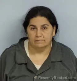 Mugshot of Dilcia Redondo Mejia booked in Walton County, Florida on July 31, 2026