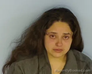 Mugshot of SHERLY DAYAN CRUZ MEJIA booked in Walton County, Florida on March 30, 2026