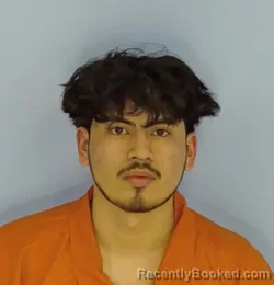 Mugshot of RODRIGO FABIAN LOPEZ RODRIGUEZ