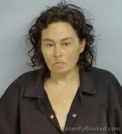 Mugshot of AMY MARIE STURGEON booked in Walton County, Florida on June 15, 2026