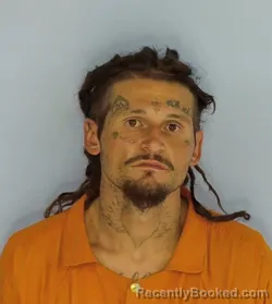 Mugshot of AUSTIN TYLER WORKMAN booked in Walton County, Florida on July 24, 2026