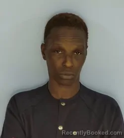 Mugshot of FARRAH RAHSIDA WILLIAMSON