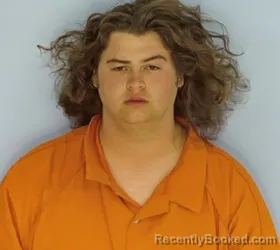 Mugshot of Levi Cole Wilson