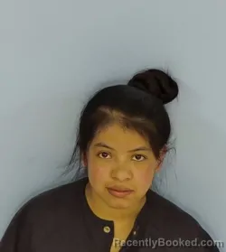 Mugshot of Glendy Azucena Ico Xol booked in Walton County, Florida on April 23, 2026