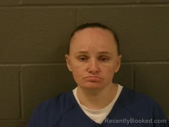 Mugshot of ASHLEY MARIE PHILLIPS booked in Wood County, Ohio on March 12, 2026