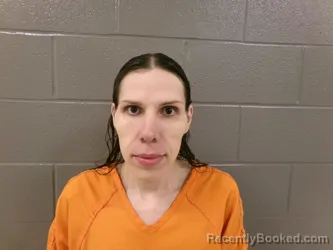 Mugshot of ARIEL JOJO SANCHEZ booked in Wood County, Ohio on March 18, 2026