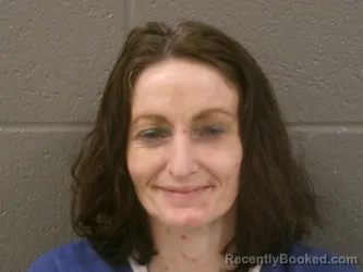 Mugshot of BRIDGIT IRENE CALLAHAN