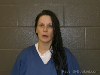 Mugshot of BRITTANY SUE STEVENSON booked in Wood County, Ohio on March 17, 2026