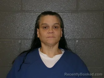 Mugshot of CHRISTINA MARIE BINNS booked in Wood County, Ohio on April 23, 2026