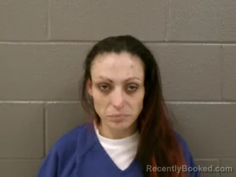 Mugshot of CORTNEY ANN CASTILLO booked in Wood County, Ohio on March 28, 2026