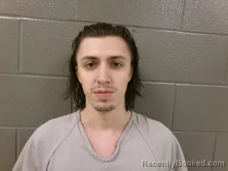 Mugshot of CODY LEO DENOMY booked in Wood County, Ohio on March 26, 2026