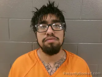 Mugshot of CARLOS SAM MIEGUEL PECINA booked in Wood County, Ohio on March 17, 2026