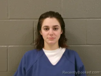 Mugshot of CATHERINE SUZZANNE SULLIVAN booked in Wood County, Ohio on April 3, 2026