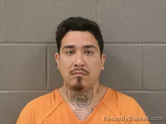 Mugshot of DOMINEC MANUEL ABBOTT booked in Wood County, Ohio on June 29, 2026