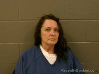 Mugshot of DEANNA PAULETTE BRYSON booked in Wood County, Ohio on August 3, 2026