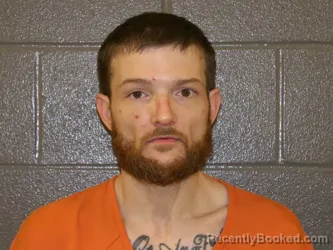 Mugshot of DOUGLAS BRANDON DANIEL booked in Wood County, Ohio on March 22, 2026