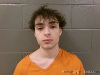 Mugshot of DUSTIN EUGENE HODGES booked in Wood County, Ohio on March 21, 2026