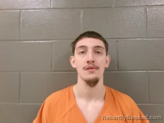 Mugshot of DOMINIC KEITH HASLINGER booked in Wood County, Ohio on March 19, 2026