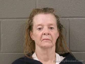 Mugshot of Doris Ann King booked in Wood County, Ohio on August 26, 2026