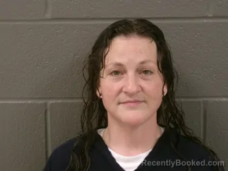 Mugshot of JESSICA PATRICIA ROSE A SILER booked in Wood County, Ohio on April 3, 2026