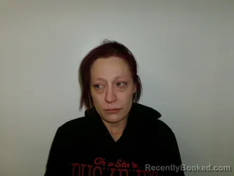 Mugshot of KELLY MARIE PRESSNELL booked in Wood County, Ohio on March 21, 2026