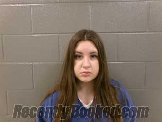 Booking photo from Wood County, Ohio