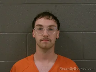 Mugshot of LOGAN THOMAS BAUMGARTNER booked in Wood County, Ohio on August 3, 2026