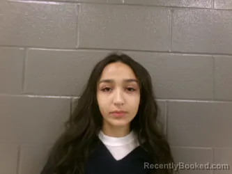 Mugshot of Liliana Tay Carrizales booked in Wood County, Ohio on September 6, 2026
