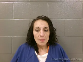 Mugshot of LISA MARIE HORTON booked in Wood County, Ohio on March 25, 2026