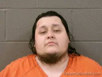 Mugshot of LOGAN DAVID TORREZ CARRIER booked in Wood County, Ohio on July 17, 2026